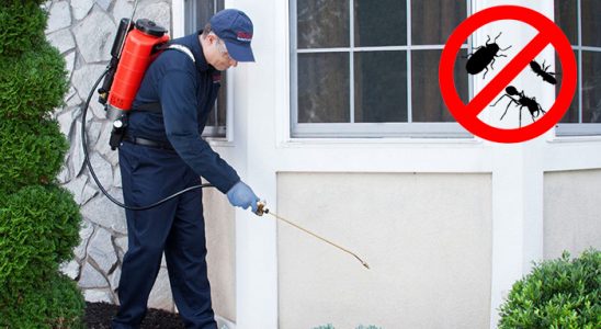 Kiğı Karınca İlaçlama böcek ilaçlama ve haşere kontrolü — ilaclama-tr.com